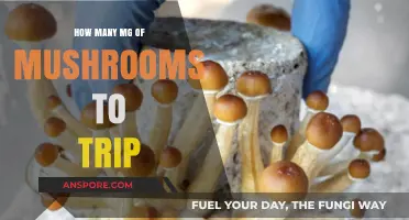 Tripping on Magic Mushrooms: How Many MG to Take?