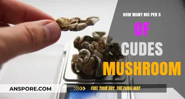 Magic Mushroom Microdosing: How Many Milligrams?