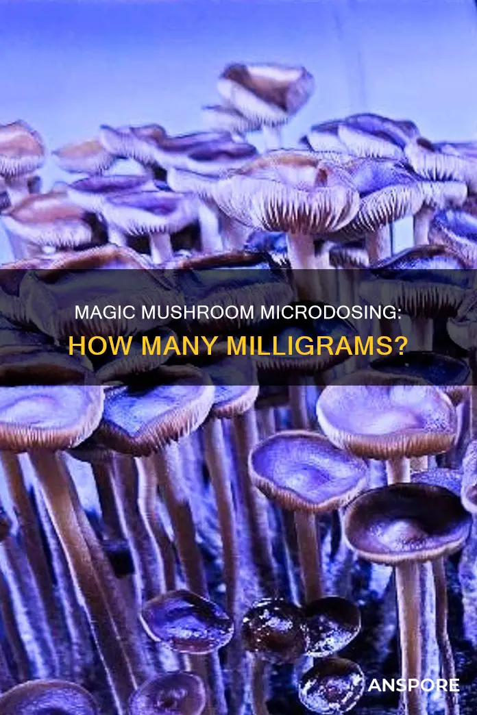how many mg per g of cudes mushrooms