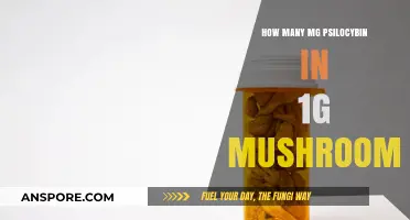 Magic Mushroom Math: Psilocybin Content in Grams