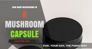 Micrograms in Mushroom Capsules: Understanding the Dosage