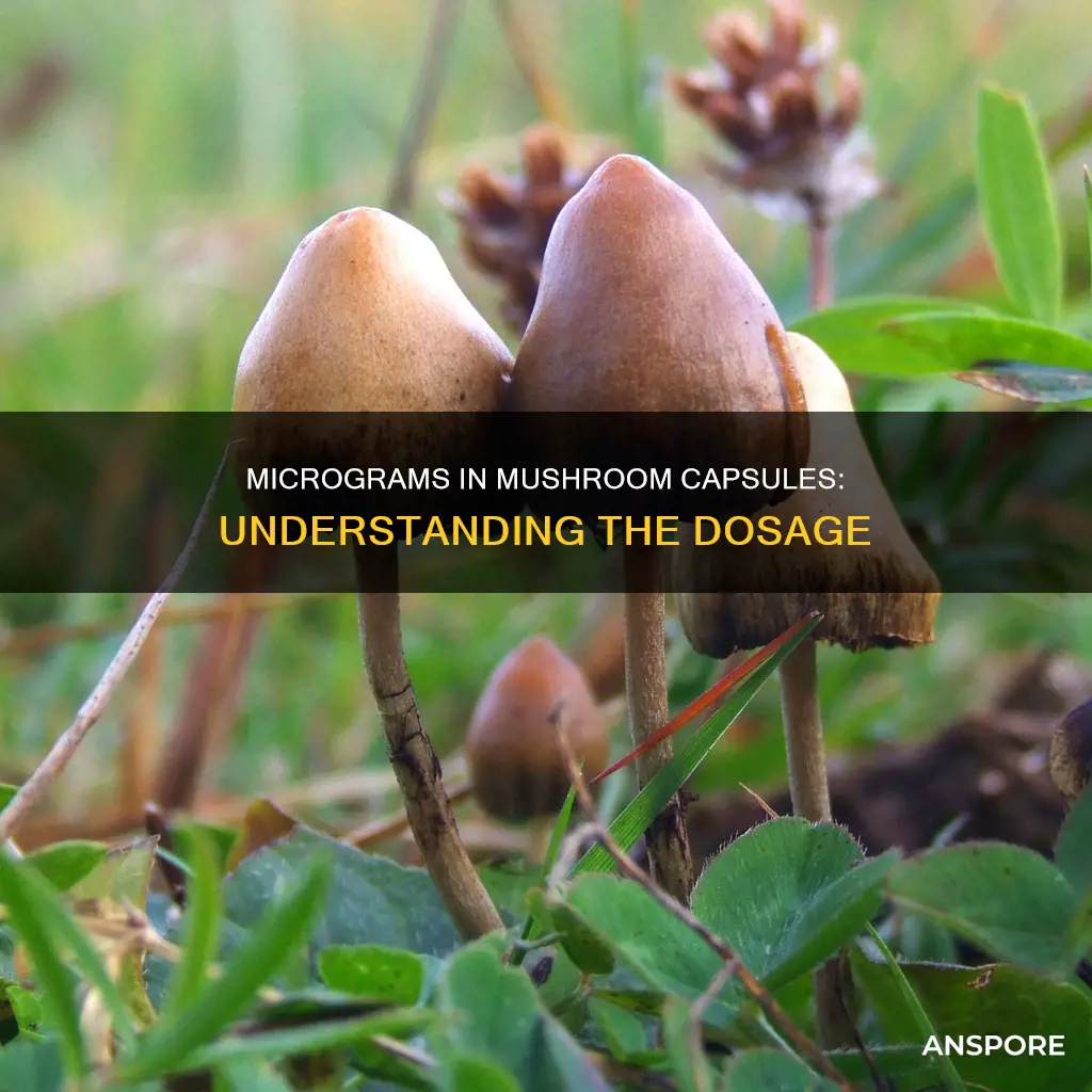 how many micrograms in a mushroom capsule