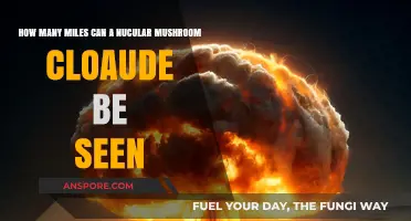 Visible Range of a Nuclear Mushroom Cloud: Miles and Factors