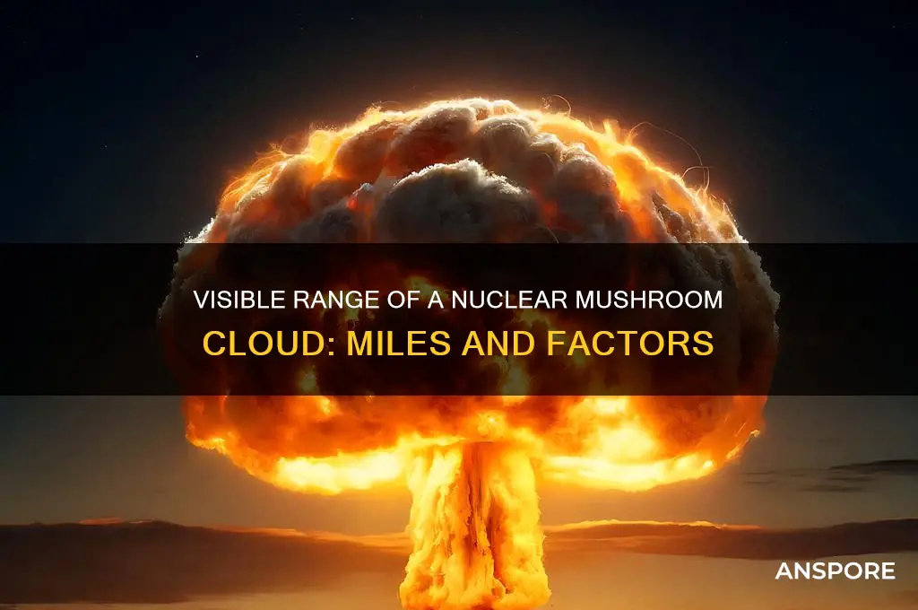 how many miles can a nucular mushroom cloaude be seen