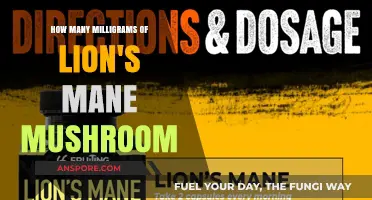 Lion's Mane Mushroom: Finding the Right Milligram Dosage