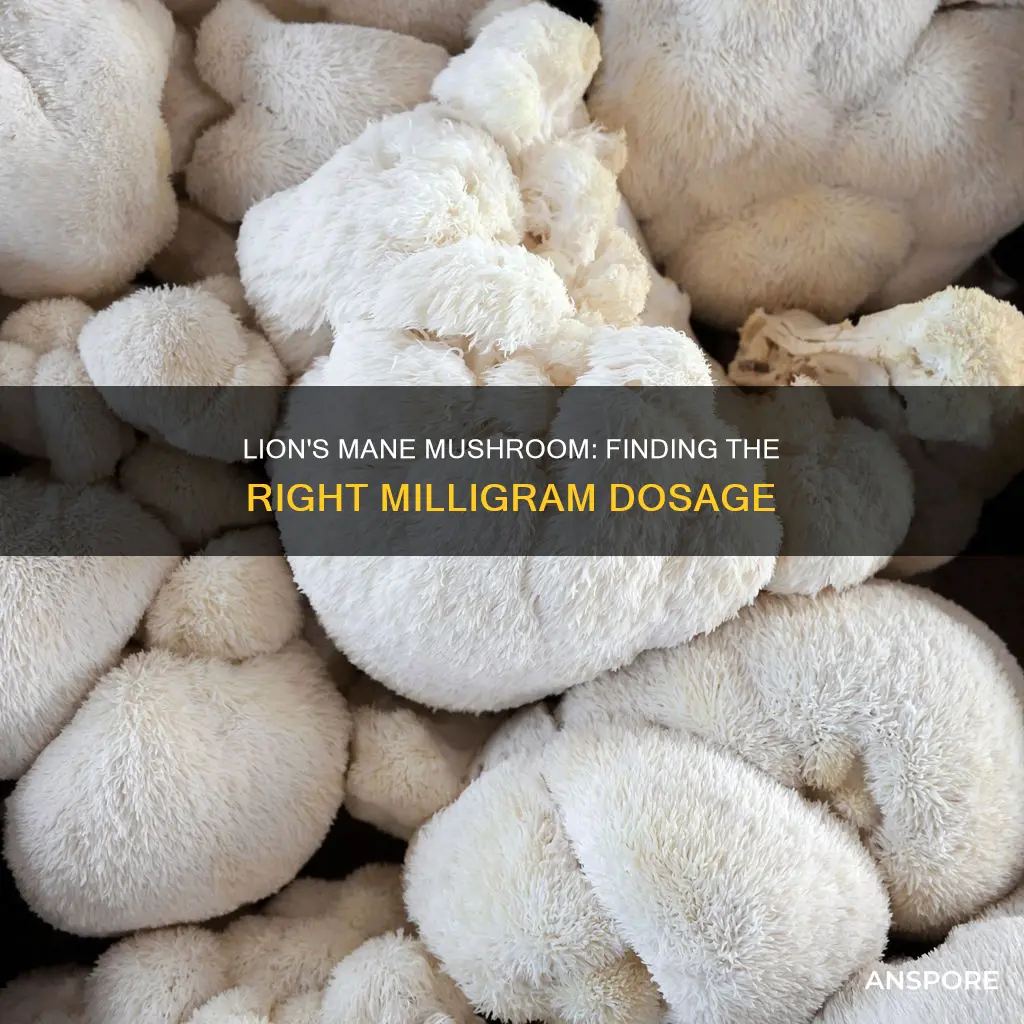 how many milligrams of lion