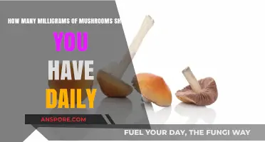 Microdosing Magic Mushrooms: Safe Milligrams for Daily Intake