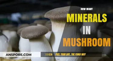 Mushrooms: Nature's Mineral Powerhouses