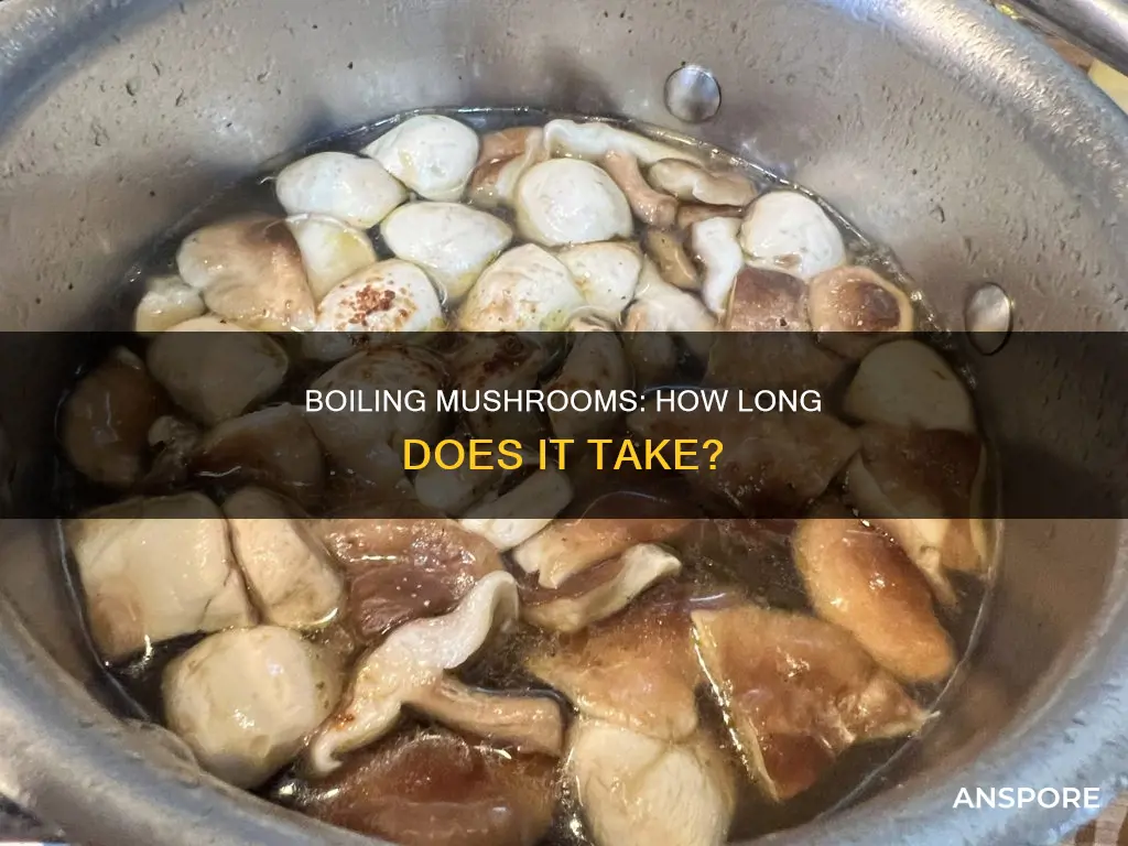 how many minutes boil mushrooms