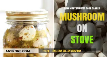 Quick Stove-Top Tips: Cooking Canned Mushrooms to Perfection