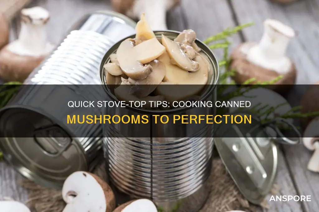 how many minutes cook canned mushrooms on stove