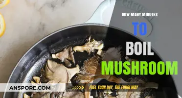 Boiling Mushrooms: How Long Does It Take?