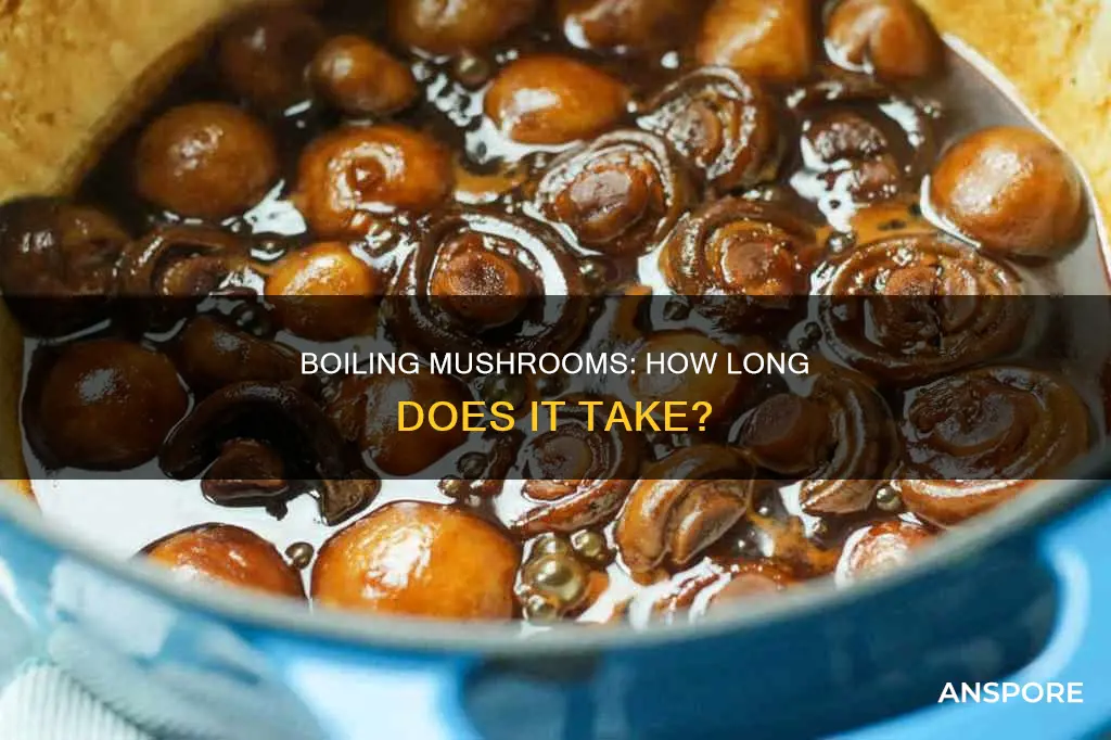 how many minutes to boil mushroom