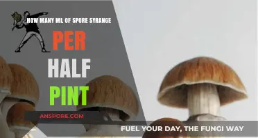 Optimal Spore Syringe Dosage for Half Pint Substrate Cultivation