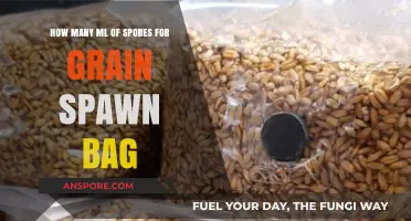 Optimal Spores Volume for Grain Spawn Bags: A Guide