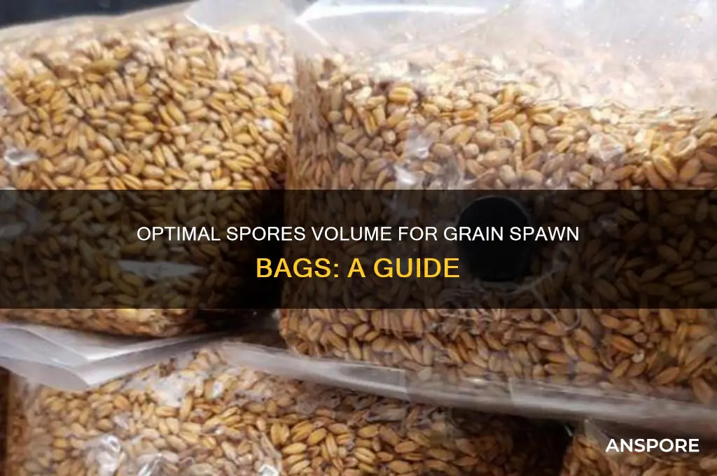 how many ml of spores for grain spawn bag