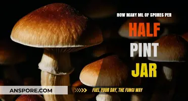 Measuring Spores: Optimal ML Quantity for Half Pint Jars