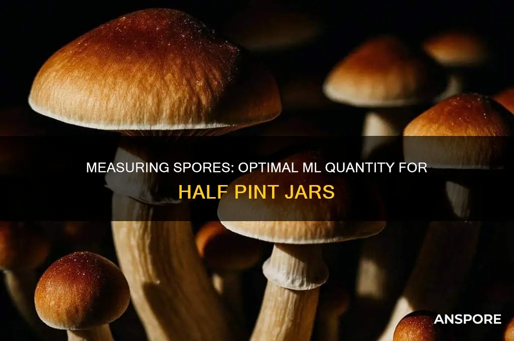 how many ml of spores per half pint jar