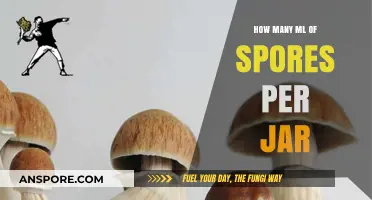 Optimal Spore Syringe Dosage: How Many ML Per Jar?