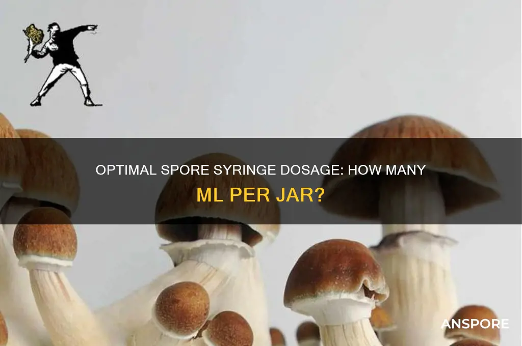 how many ml of spores per jar