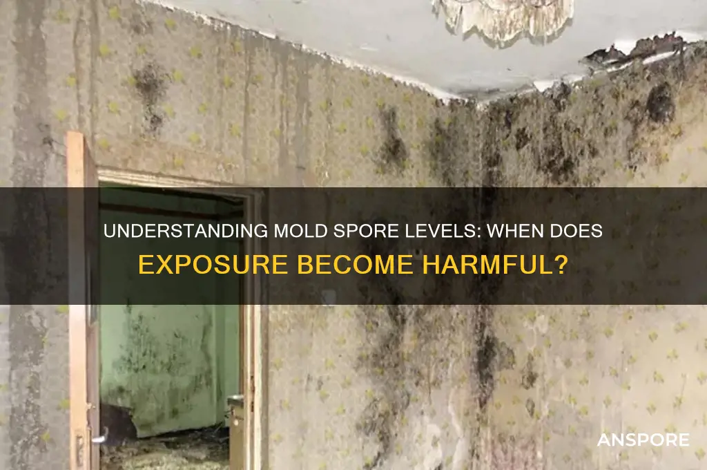 how many mold spores are dangerous