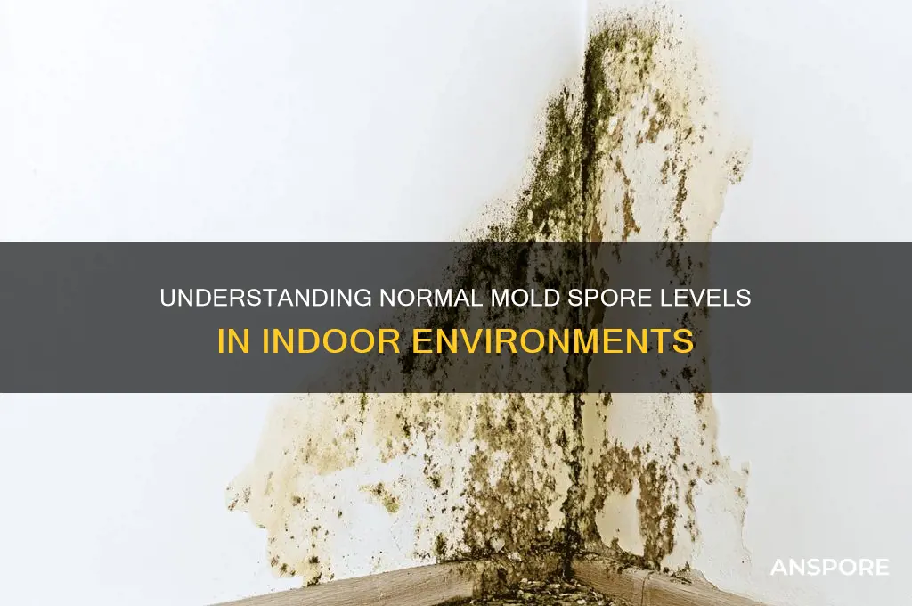 how many mold spores are normal