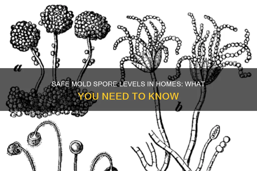 how many mold spores are safe in a home