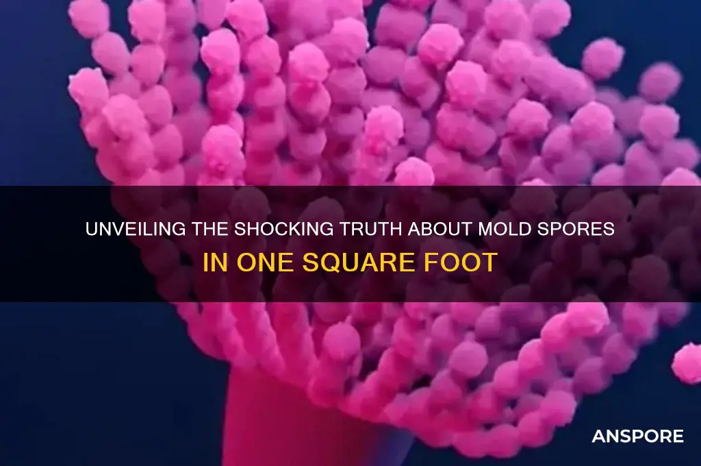 how many mold spores in ones square foit of mold