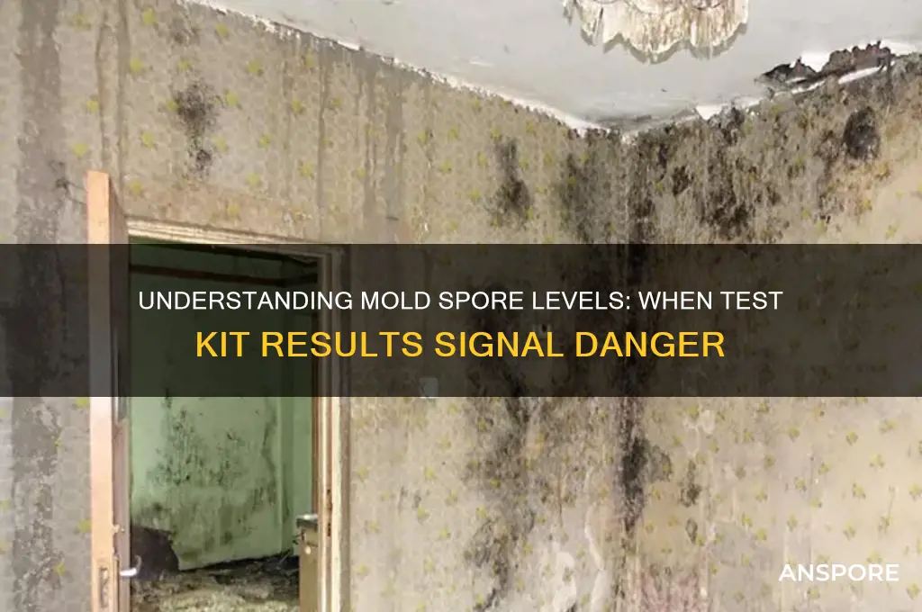 how many mold spores in test kit to be dangerous