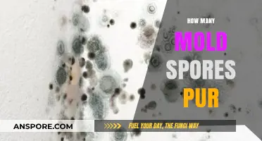 Understanding Mold Spores: How Many Are Safe in Your Environment?
