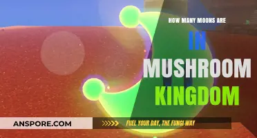 Exploring the Moons of Mushroom Kingdom