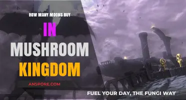 Exploring the Mushroom Kingdom's Celestial Secrets: How Many Moons to Buy?