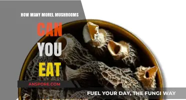 Safe Morel Mushroom Consumption: How Many Can You Eat?