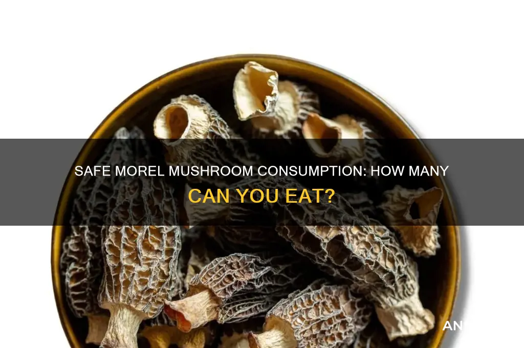 how many morel mushrooms can you eat