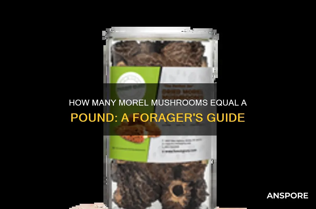 how many morel mushrooms make a pound