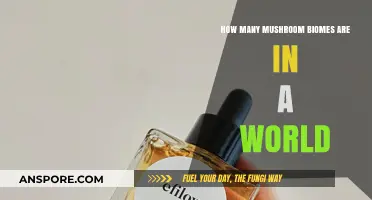 Exploring the Diversity of Mushroom Biomes in a World