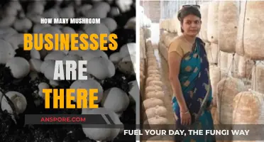 Exploring the Mushroom Business Ecosystem