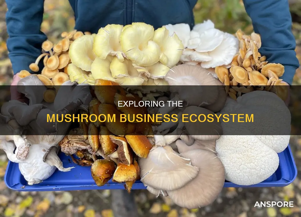 how many mushroom businesses are there