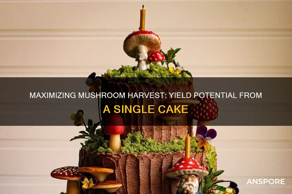 how many mushroom can you harvest from a cake