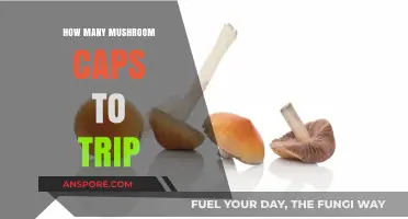 Tripping on Mushroom Caps: How Many to Take?