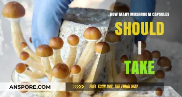 Mushroom Capsules: Optimal Dosage Recommendations