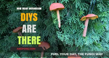 Discovering the Mushroom DIYs in Animal Crossing