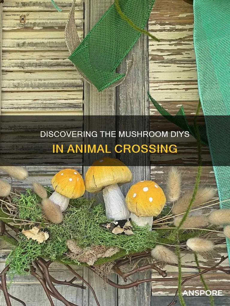 how many mushroom diys are there