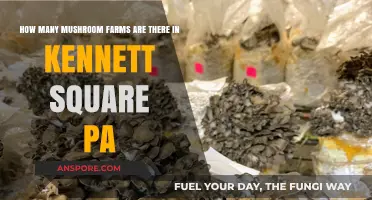 Mushroom Capital Kennett Square: Farm Exploration