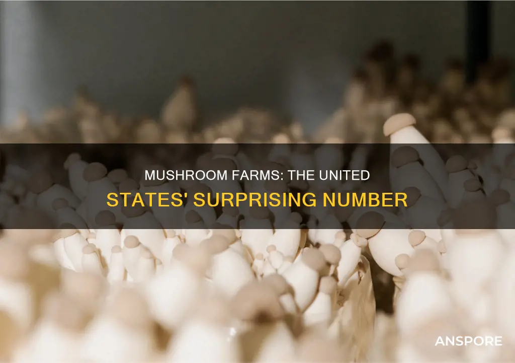 how many mushroom farms in the united states