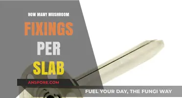 Delicious Mushroom Fixings: How Many per Slab?