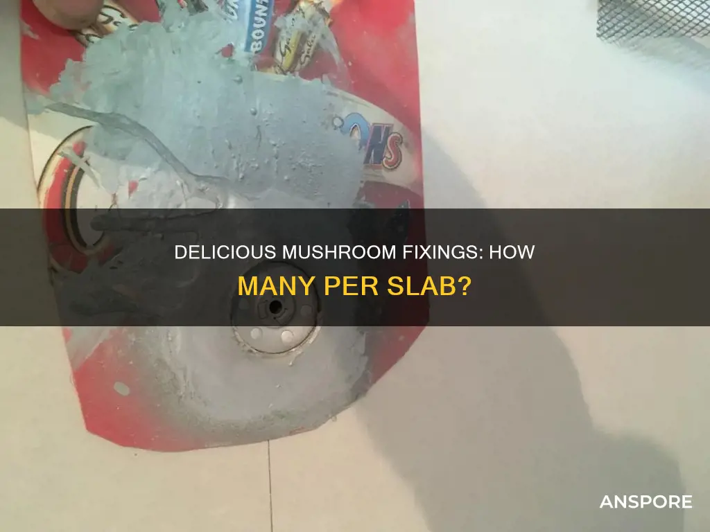 how many mushroom fixings per slab