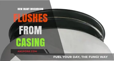 Mushroom Casing: Multiple Flushes, Maximum Yield