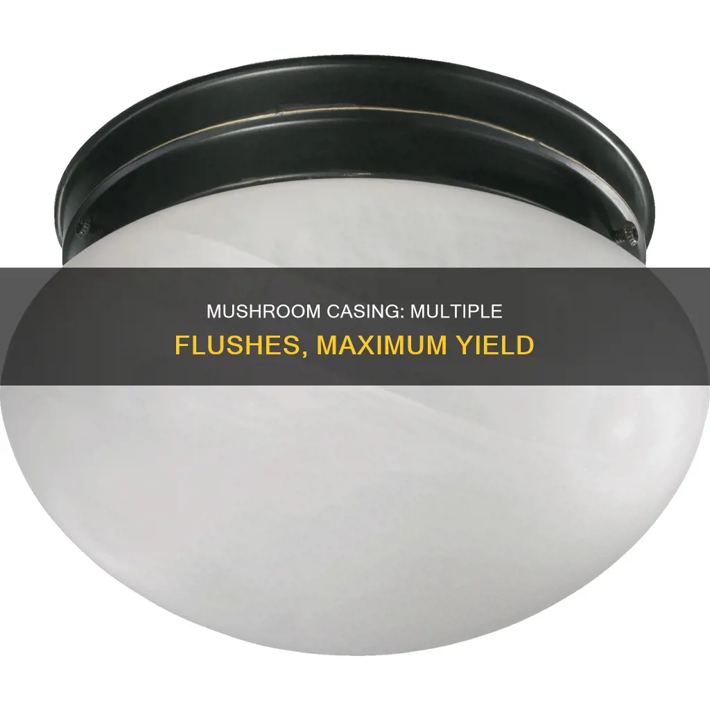 how many mushroom flushes from casing