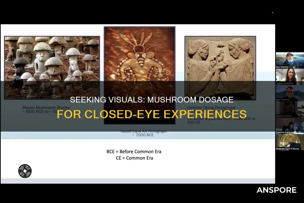how many mushroom for closed eye visuals